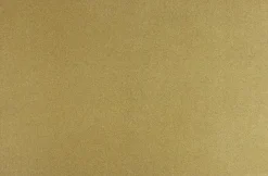 Unique Living placemat twinkle 28.5x43cm gold