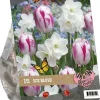 Urban flowers - ice blush 15 stuks