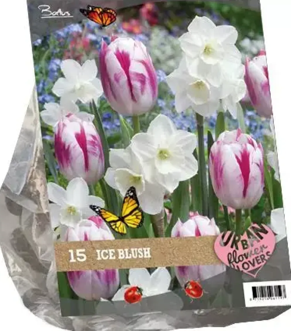 Urban flowers - ice blush 15 stuks