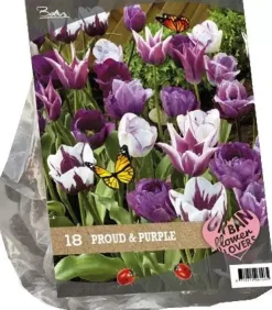 Urban flowers - proud & purple 18 stuks