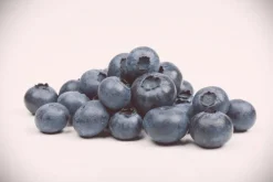 Vaccinium corymbosum 'Sunshine Blue' (Bosbes) fruitplant 50cm