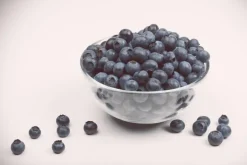 Vaccinium corymbosum 'Sunshine Blue' (Bosbes) fruitplant 50cm