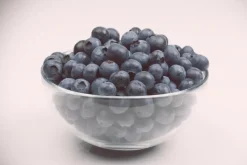 Vaccinium corymbosum 'Sunshine Blue' (Bosbes) fruitplant 50cm
