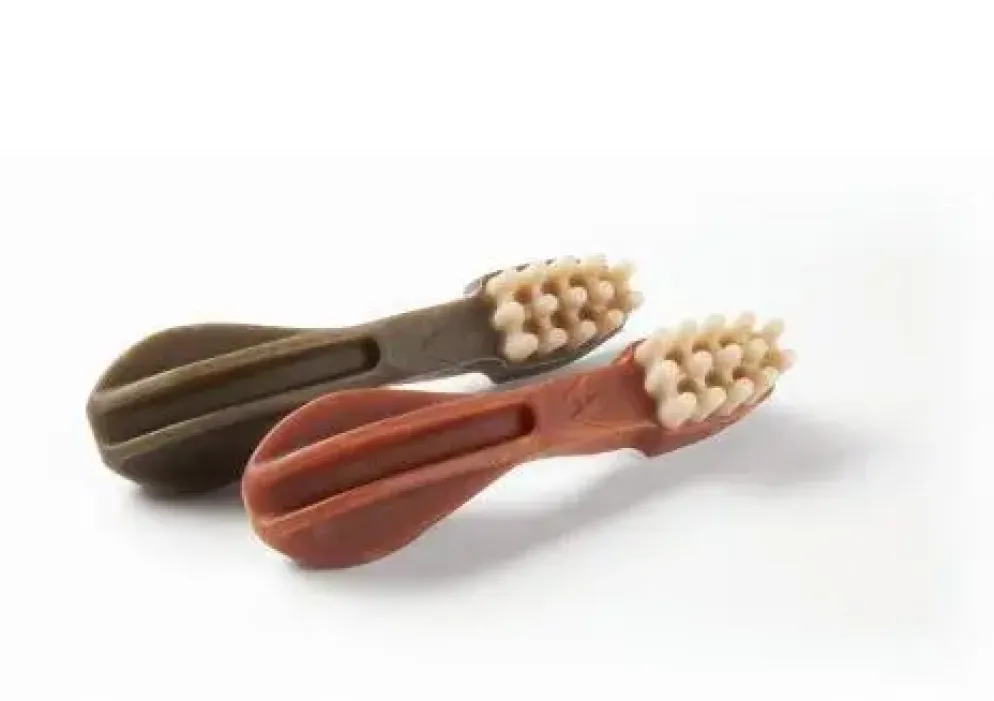 Whimzees tandenborstel 11,4cm 12 stuks - M