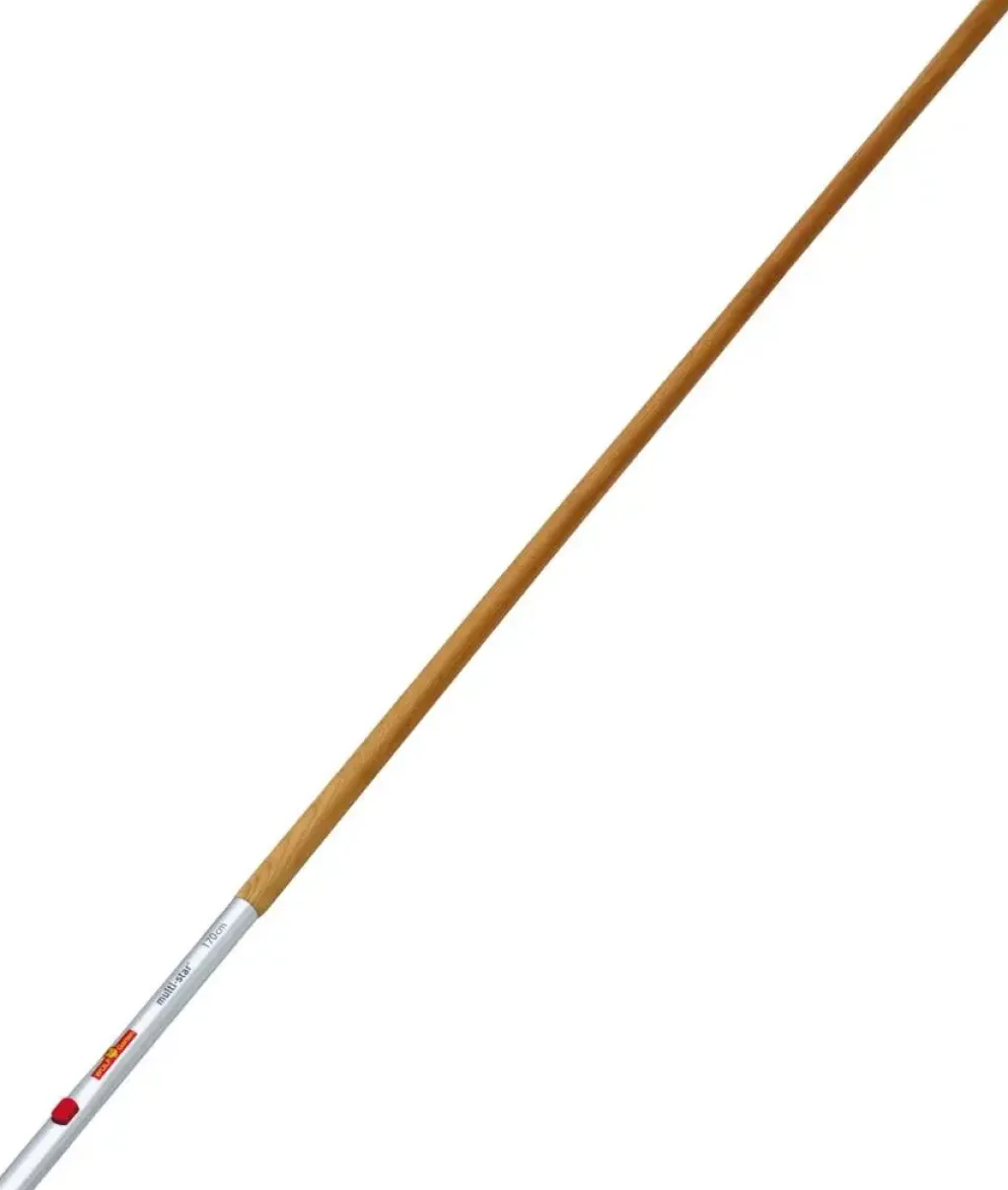 Wolf Garten Multi-Star combisysteem essenhouten steel 1,7m