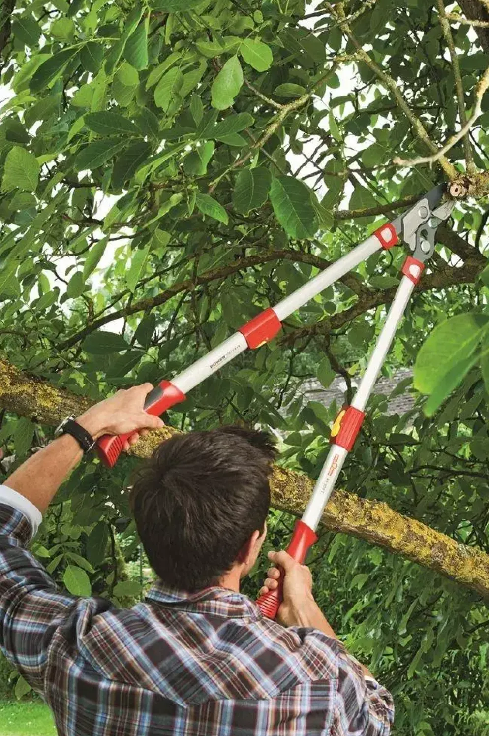 Wolf Garten Takkenschaar aambeeld rs900t
