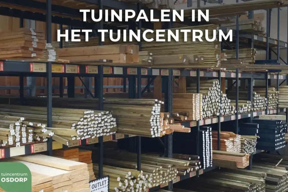 Woodvision grenen ronde paal gefreesd 6x200 cm geïmpregneerd