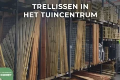 Woodvision grenen trellis 40x180cm groen geïmpregneerd